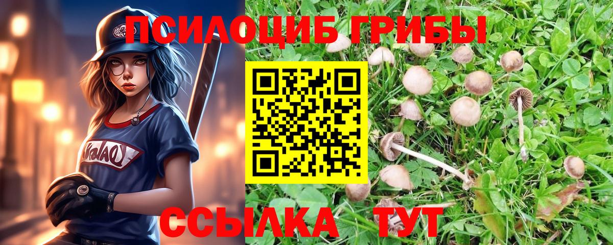Галлюциногенные грибы прущие грибы Елабуга